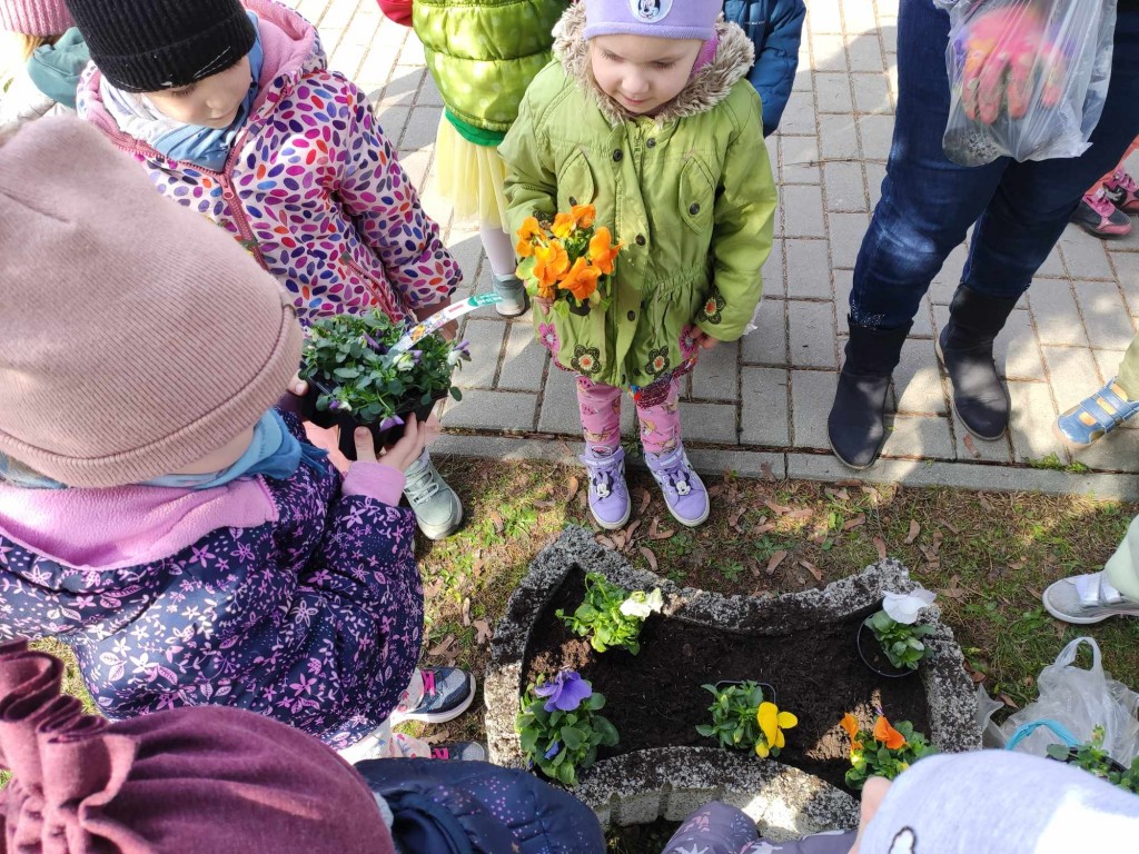 POWITANIE WIOSNY - SADZENIE KWIATÓW