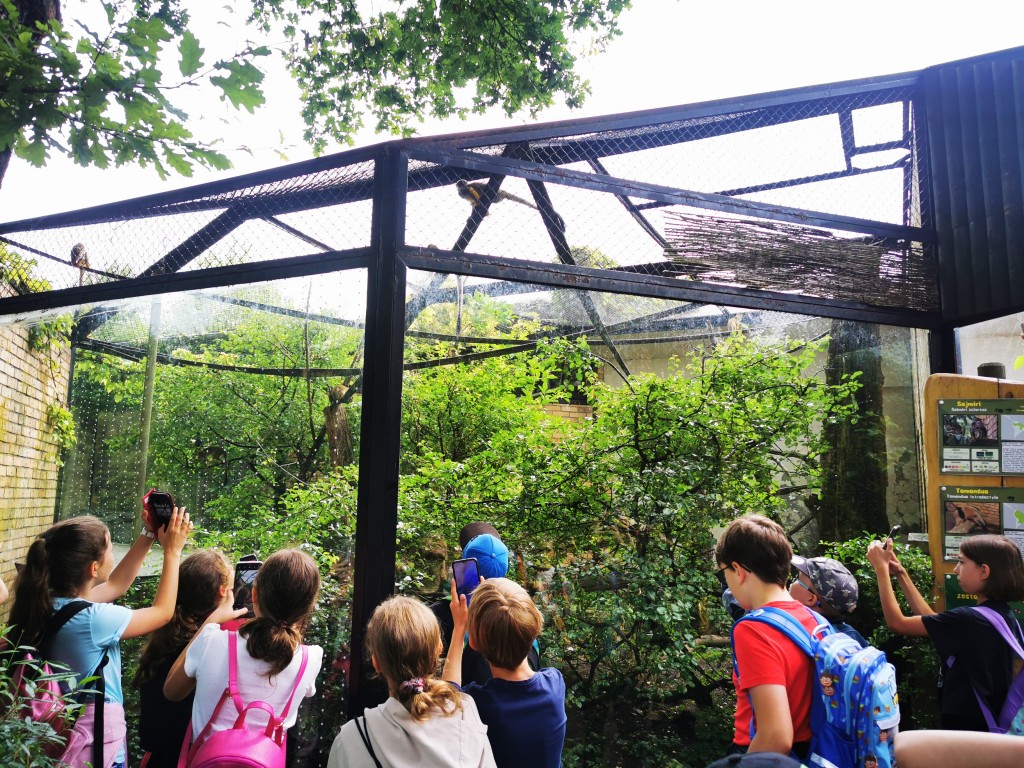 Wycieczka do Ogrodu Zoologicznego w Opolu